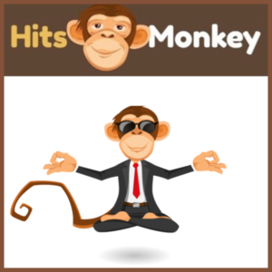 Hits Monkey